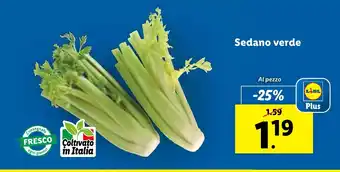 Lidl Sedano verde offerta