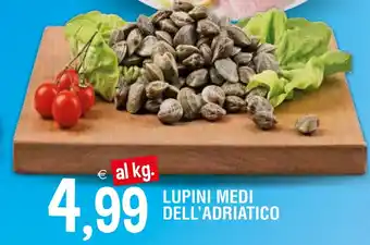 LUPINI MEDI DELL'ADRIATICO
