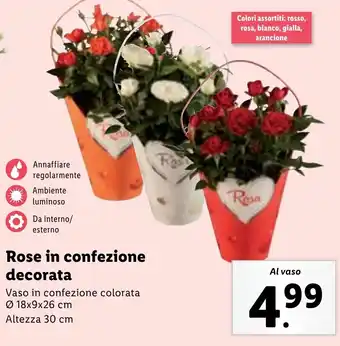 Lidl Rose in confezione decorata offerta
