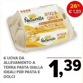 Todis 6 UOVA DA ALLEVAMENTO A TERRA PASTA GIALLA IDEALI PER PASTA E DOLCI offerta