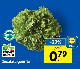 Lidl Insalata gentile offerta