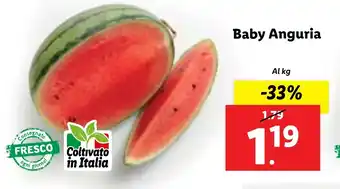 Lidl Baby Anguria offerta