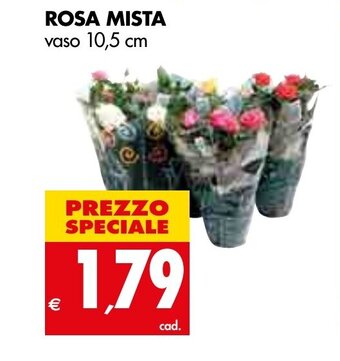 Tigros Rosa Mista offerta