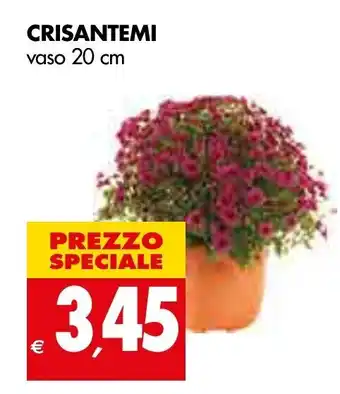 Crisantemi