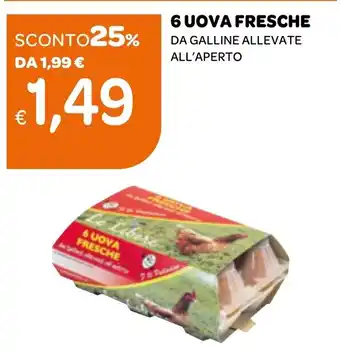 Ekom 6 UOVA FRESCHE DA GALLINE ALLEVATE ALL'APERTO offerta