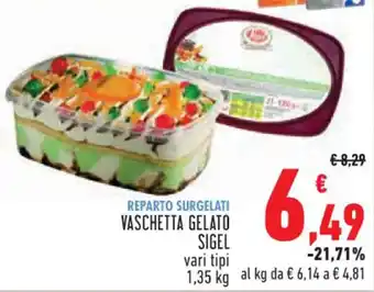 Conad VASCHETTA GELATO SIGEL vari tipi 1,35 kg offerta