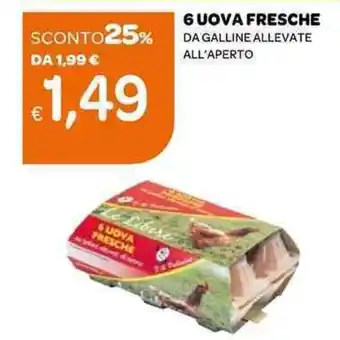 Ekom 6 UOVA FRESCHE DA GALLINE ALLEVATE ALL'APERTO offerta