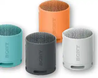 Unieuro Sony SRS-XB100 Speaker wireless con Extra Bass offerta