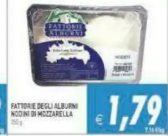 Supermercati Agorà Nodini di mozzarella offerta