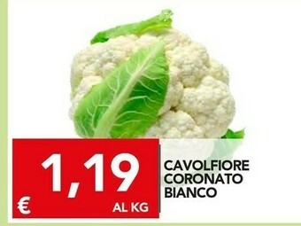 TuoDi Cavolfiore coronato bianco offerta