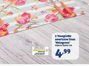 In'S Mercato 2 touagliette americane linea melograno offerta