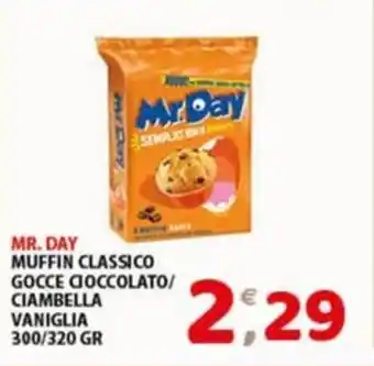 Mio Market MR. DAY MUFFIN CLASSICO GOCCE COCCOLATO/ CIAMBELLA VANIGLIA 300/320 GR offerta