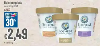 Pan Bolmea gelato vari tipi g.250 offerta