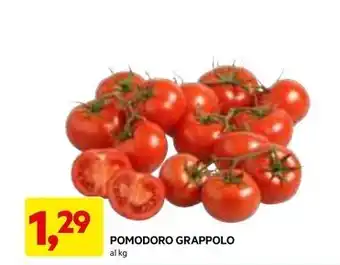 DPiù POMODORO GRAPPOLO offerta