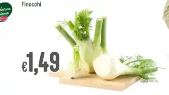 Finocchi