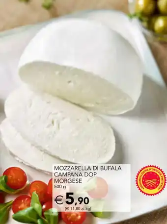 Esselunga MOZZARELLA DI BUFALA CAMPANA DOP MORGESE 500 g offerta