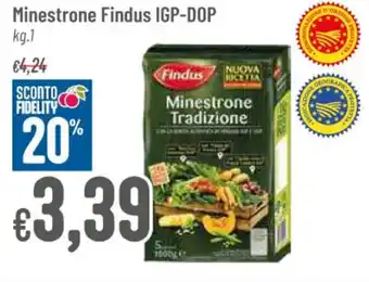 Pan Minestrone Findus IGP-DOP kg.1 offerta