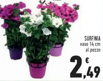 Conad Superstore SURFINIA vaso 14 cm offerta