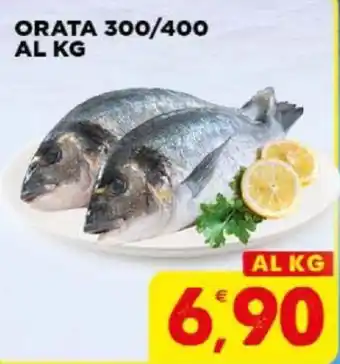 Gecop ORATA 300/400 AL KG offerta