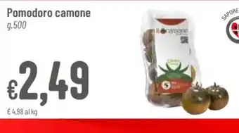 Pan Pomodoro camone g.500 offerta