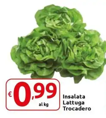 Carrefour Express Insalata Lattuga Trocadero offerta