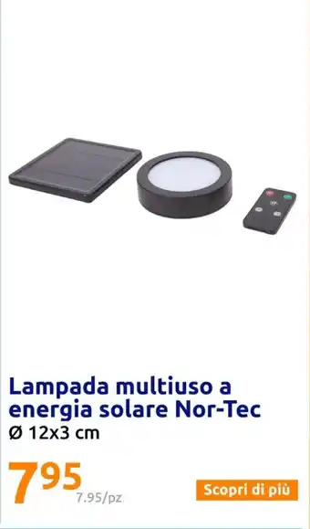 Action Lampada multiuso a energia solare Nor-Tec offerta