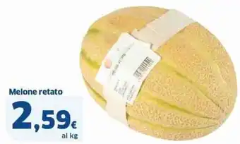 Sigma Melone retato offerta