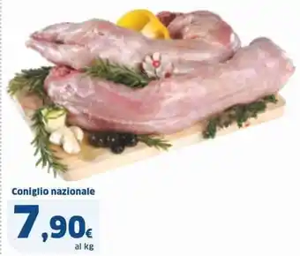 Sigma Coniglio nazionale offerta