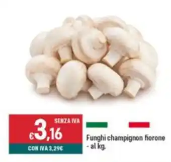 Altasfera Funghi champignon fiorone offerta