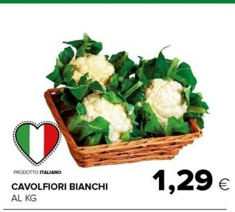 Tigre Cavolfiore offerta