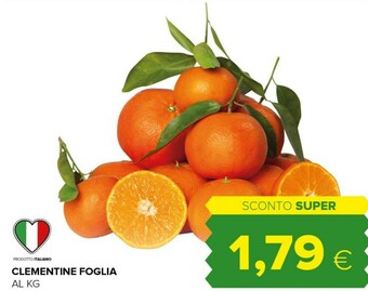 Tigre Clementine offerta