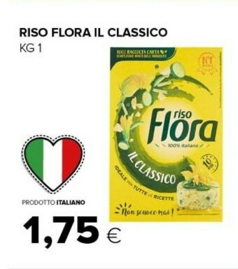 Tigre Riso offerta