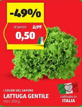 ALDI I COLORI DEL SAPORE LATTUGA GENTILE min. 250 g offerta