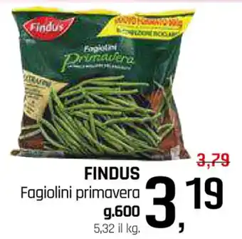 Famila Superstore FINDUS Fagiolini primavera g 600 offerta