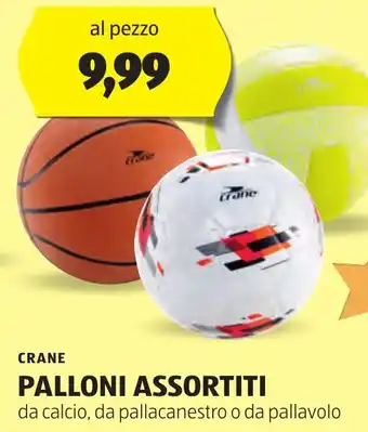 ALDI CRANE PALLONI ASSORTITI offerta