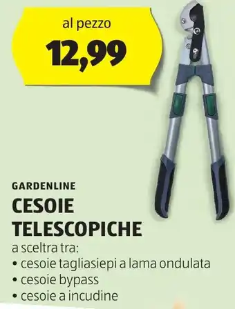 ALDI GARDENLINE CESOIE TELESCOPICHE offerta