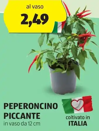 ALDI PEPERONCINO PICCANTE offerta