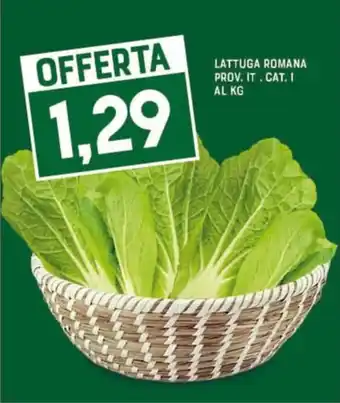 Gran Risparmio LATTUGA ROMANA offerta