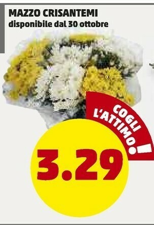 PENNY Mazzo crisantemi offerta