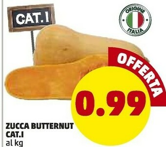 PENNY Zucca butternut offerta