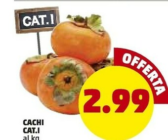 Cachi