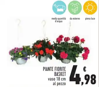 Conad PIANTE FIORITE BASKET vaso 18 cm offerta