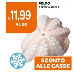 Ekom POLPO offerta