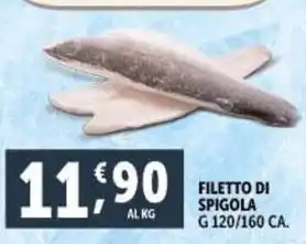 Deco Supermercati FILETTO DI SPIGOLA offerta