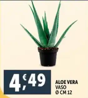 Deco Supermercati ALOE VERA offerta