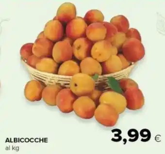 Tigre ALBICOCCHE offerta