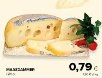 Tigre MAASDAMMER offerta