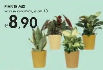 Bennet PIANTE MIX offerta