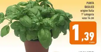 Conad PIANTA BASILICO offerta