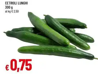 Famila CETRIOLI LUNGHI 300 g offerta